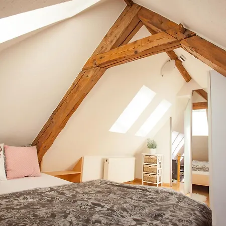 Hirschlehaus - Baerental Appartement