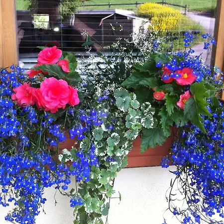 Hirschlehaus - Baerental Appartement