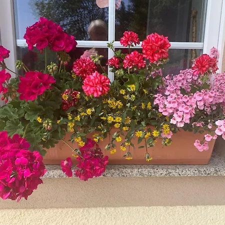 Hirschlehaus - Baerental Appartement Hinterzarten